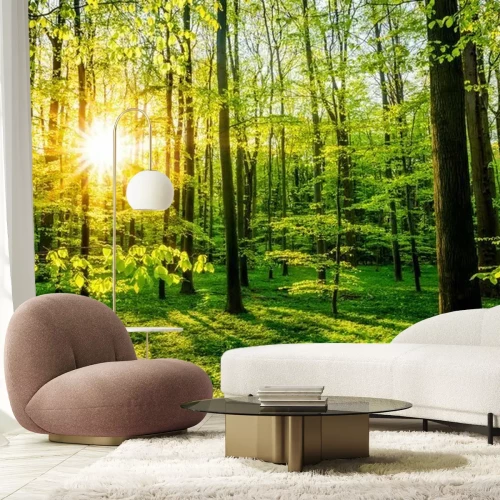 Fotobehang De opkomende zon in het groene bos