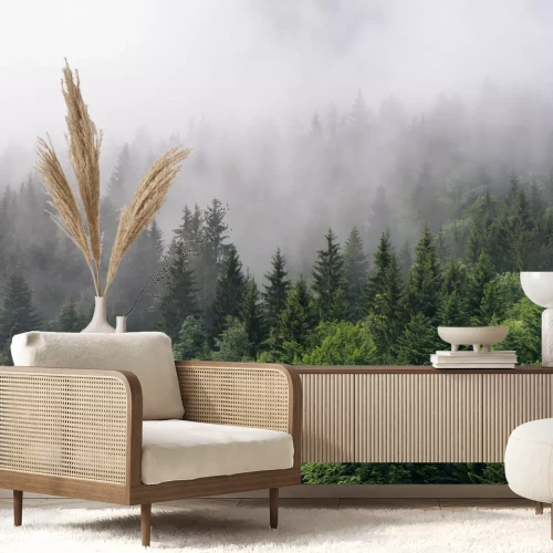 Fotobehang Natuur van een bos