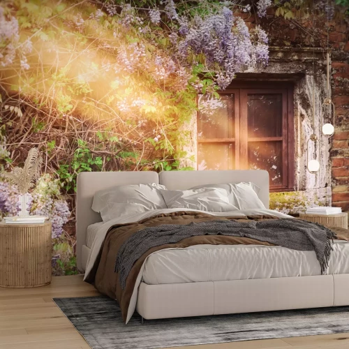 Fotobehang Curling bloeiende boom op de gevel van het landhuis