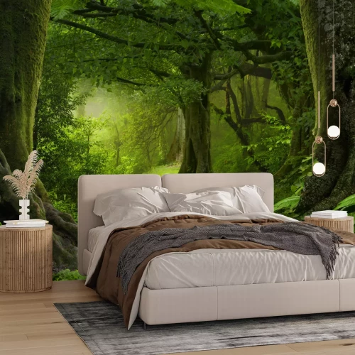 Fotobehang Dichte tropen in Azië