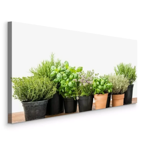 Canvas Verse kruiden in potten