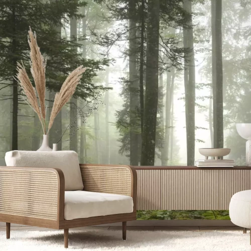 Fotobehang Een stil bos in de mist