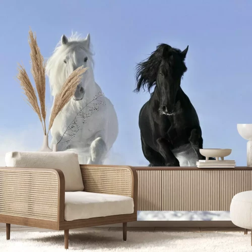 Fotobehang Zwart en wit paard