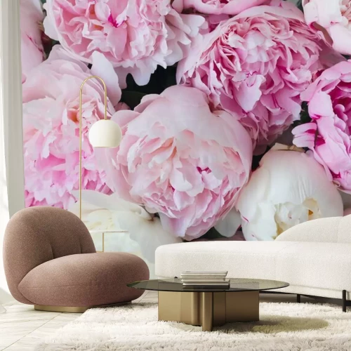 Fotobehang Roze pioenroos achtergrond