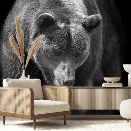 Fotobehang Portret van een beer op een zwarte achtergrond