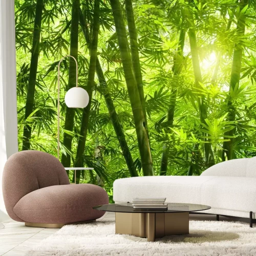 Fotobehang Groen bamboeboslandschap