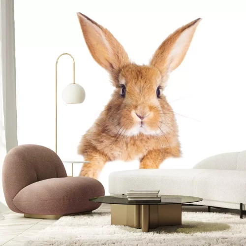 Sticker Schattig rood konijn op witte achtergrond