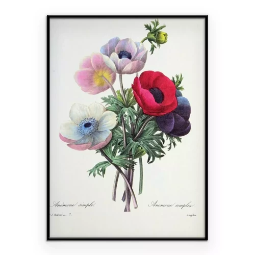 Poster Een boeket kleurrijke klaprozen in retrostijl.