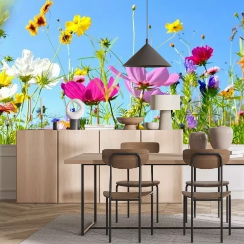 Fotobehang Weide bloemen en lucht