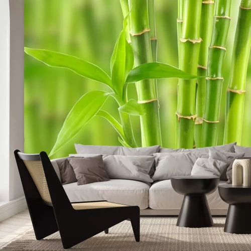 Fotobehang 3D bamboe in bloei