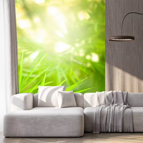 Fotobehang Zonnestralen en bamboebladeren