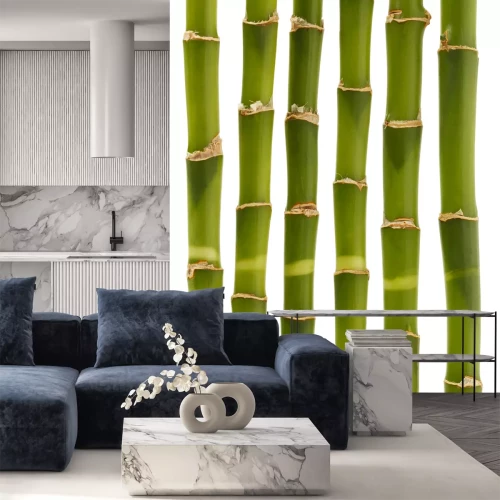 Sticker Groene Bamboe Afdelingen Geïsoleerd Op Een Witte Achtergrond