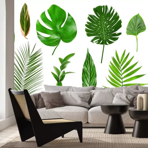 Sticker Verschillende tropische bladeren op witte achtergrond
