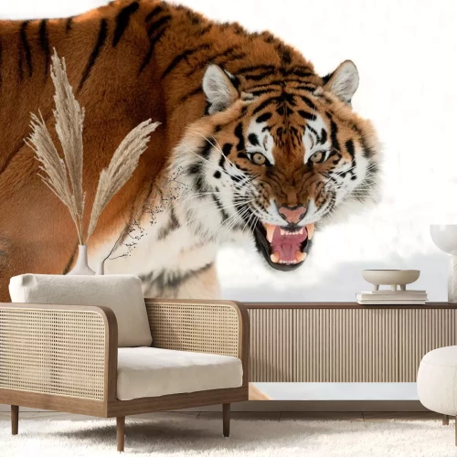 Sticker Siberische Tijger Grommen