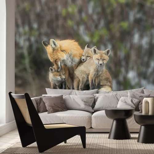 Fotobehang Vossen familie