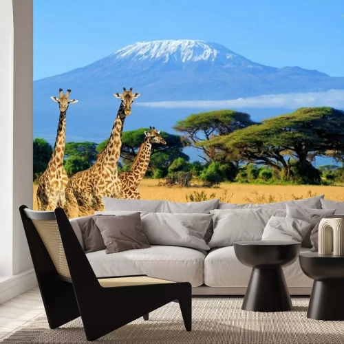 Fotobehang Landschap met dieren in Kenia