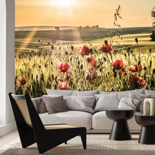 Fotobehang Klaprozen in een maïsveld