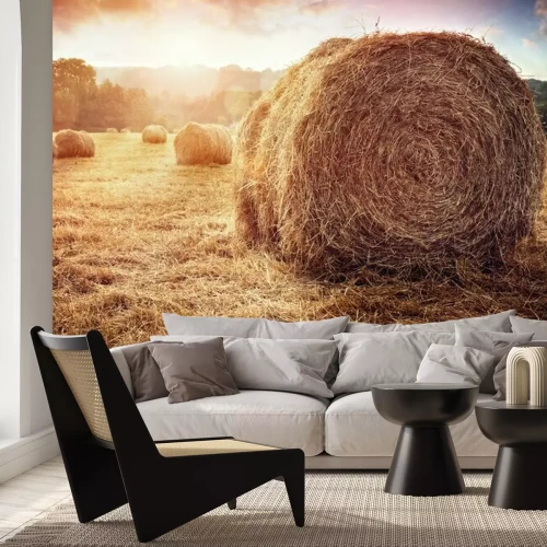 Fotobehang Hooiveld en zonsondergang