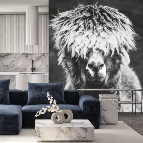 Sticker Zwart-wit tekening met een lama