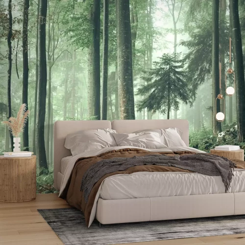 Fotobehang Magie van het bos