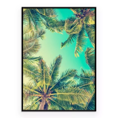 Poster Palmbomen in retrofotografie