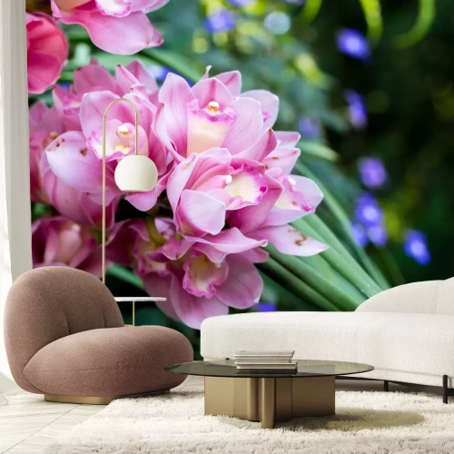 Fotobehang Mooie bloemen