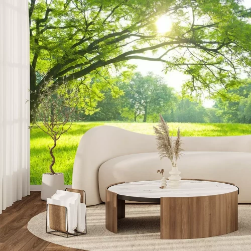 Fotobehang Groene weide in de zon