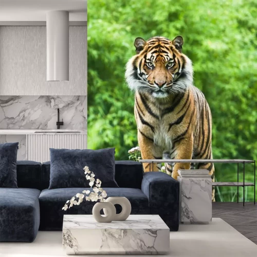 Fotobehang Majestueuze tijger in een boom