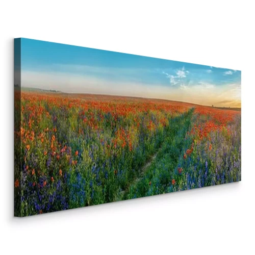 Canvas Een groen pad in een veld met klaprozen