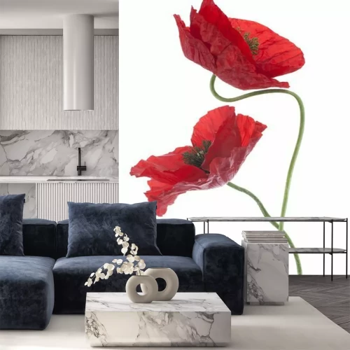 Fotobehang Twee rode klaprozen