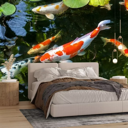 Fotobehang Vissen zwemmen tussen het groen