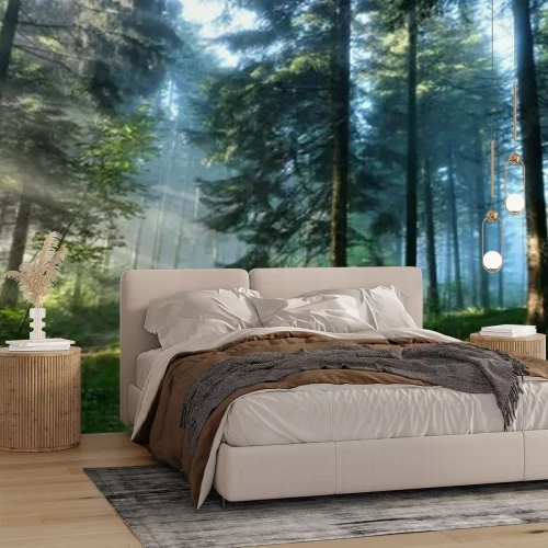 Fotobehang Mistig landschap van een groen bos