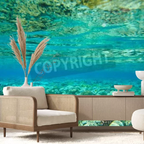 Fotobehang Zeebodem met planten