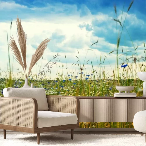 Fotobehang Een veldweide met korenbloemen en madeliefjes