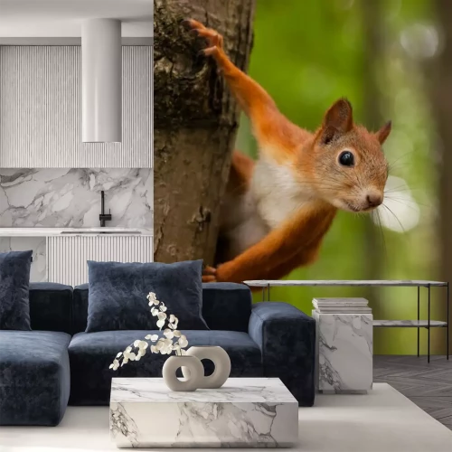 Fotobehang Eekhoorn in een boom