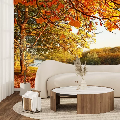 Fotobehang Herfstlandschap in een park