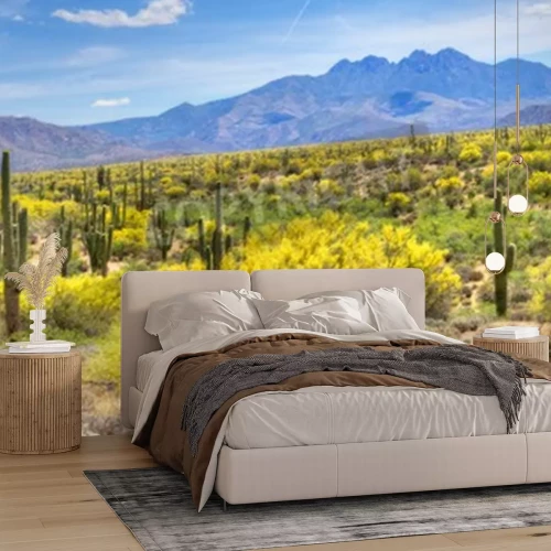 Fotobehang Woestijnplanten in Arizona