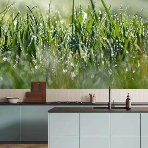 Fotobehang Gras met dauw in de zon