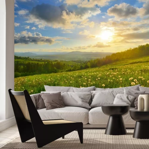 Fotobehang Een veldweide met paardenbloemen