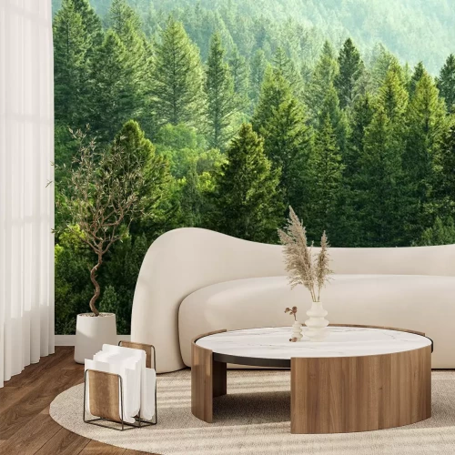 Fotobehang Dennenbos in de bergen