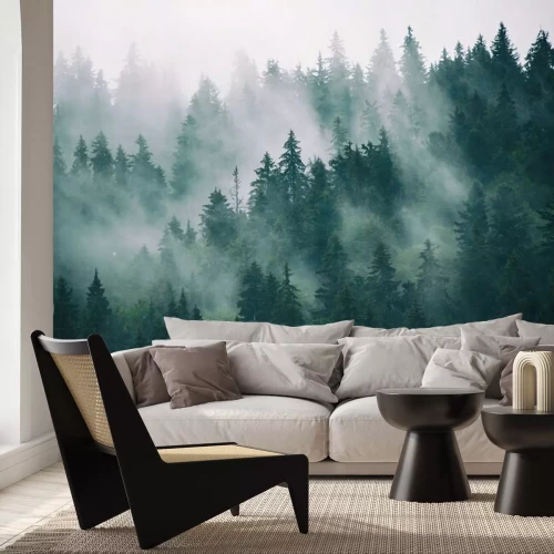 Fotobehang Naaldbomen in de mist, bos in de mist