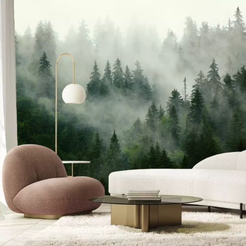 Fotobehang Donkergroen naaldbos in de mist