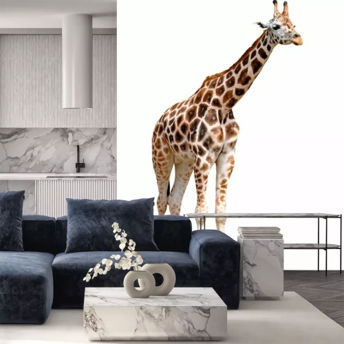 Sticker Giraffes geïsoleerd