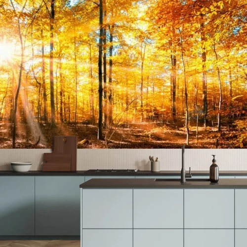 Fotobehang Panorama van bossen in gouden herfst