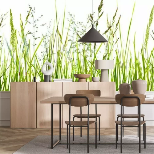 Fotobehang Groene grassprieten
