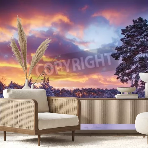 Fotobehang Zonsopgang bos in de sneeuw