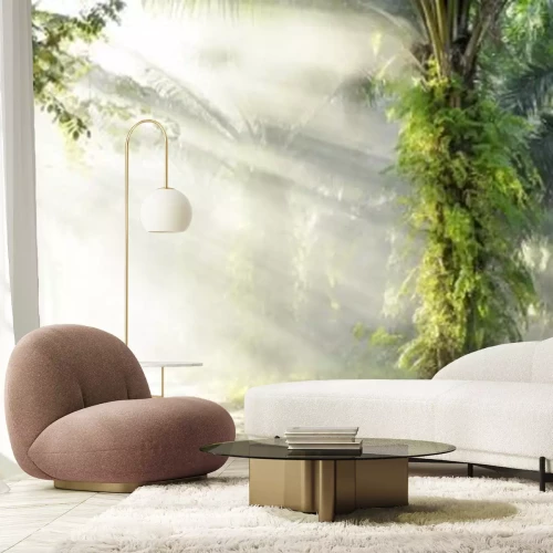 Fotobehang Een zonnige ochtend in een tropisch palmenbos