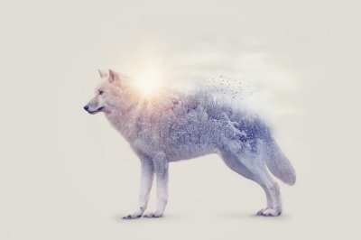 Fotobehang Abstracte witte wolf met bomen