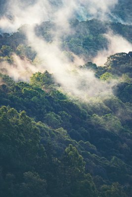 Fotobehang Mistig landschap van beboste hellingen