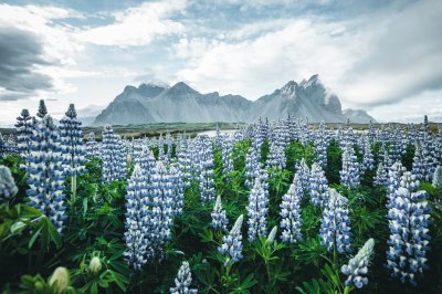 Fotobehang Natuur en bergen